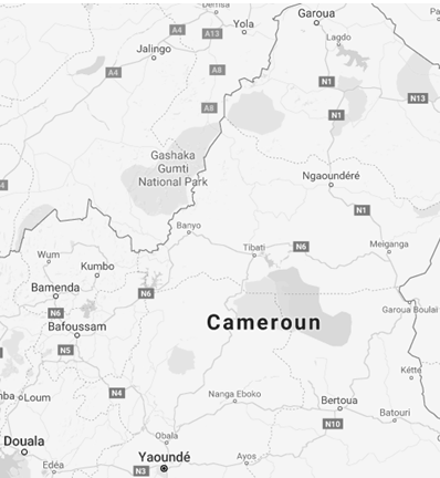 Étudier à Ngaoundéré (affaires, commerce, transport)