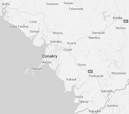 Comercio Exterior y Negocios en Conakry, Guinea