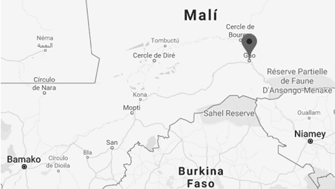 Transport, Trade and Business in Gao, Mali