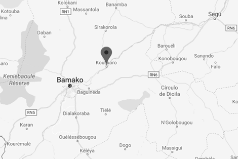 Comércio Exterior e Negócios em Koulikoro (mestrados e doutoramentos) Mali