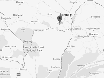 Comercio exterior, República Centroafricana