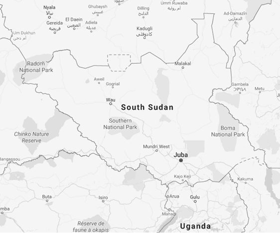 Online Higher Education in South Sudan