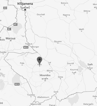 Étudiants tchadiens (Kélo) : Cours, masters et doctorats