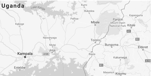 Study Online in Mbale, Uganda, Eastern Africa (Business)